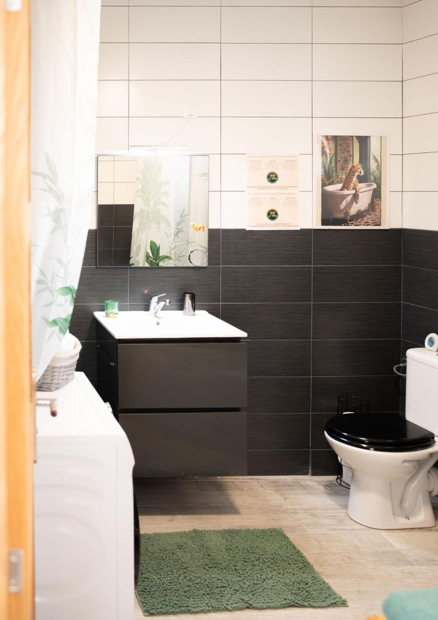 Jungle Appartement Lumineux Plein Centre Boulogne-sur-Mer Exterior foto
